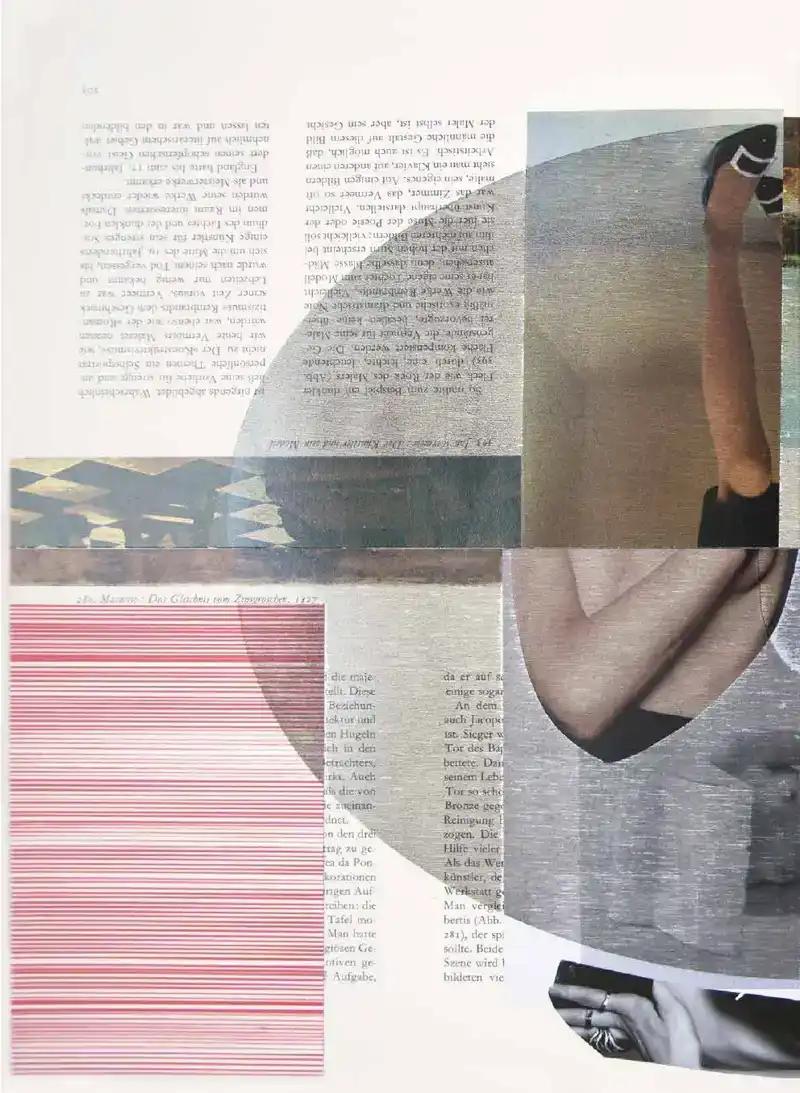 ZWIJGZAME ZANGVOGELS