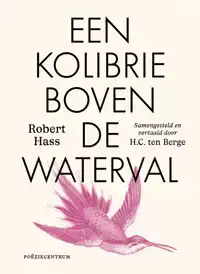 EEN KOLIBRIE BOVEN DE WATERVAL