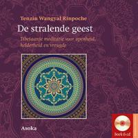 DE STRALENDE GEEST