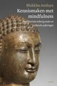 KENNISMAKEN MET MINDFULNESS
