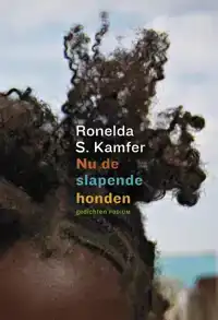 NU DE SLAPENDE HONDEN