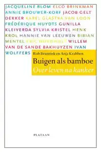 BUIGEN ALS BAMBOE