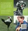 KIPPEN HANDBOEK