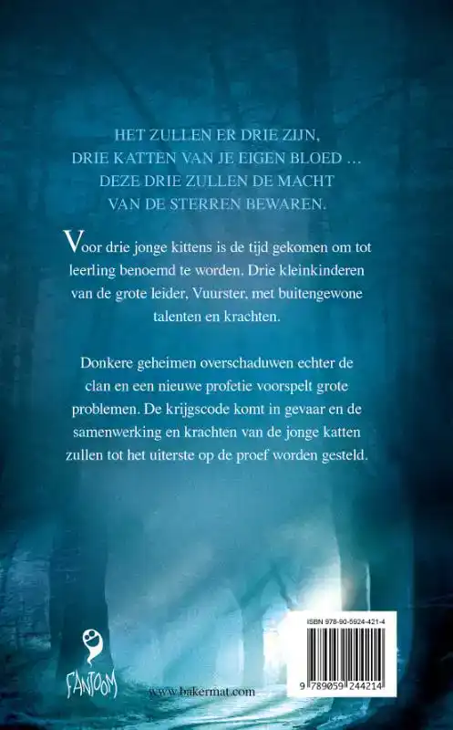 HET TWEEDE GEZICHT