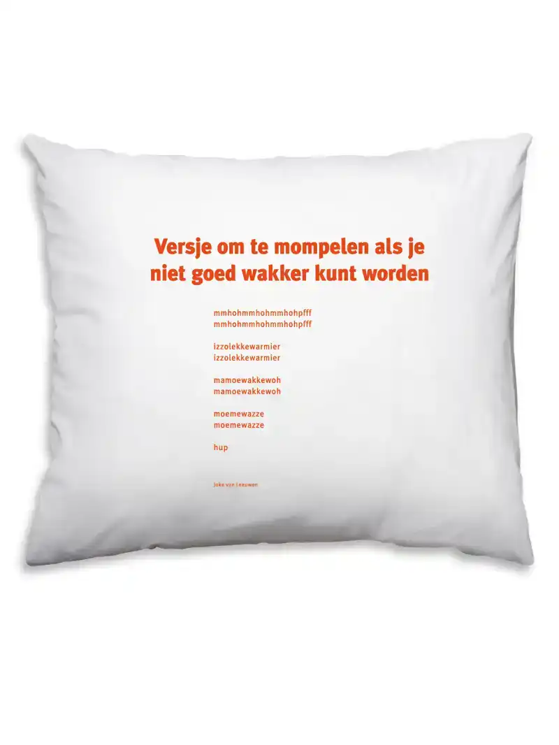 DICHTER JOKE VAN LEEUWEN SL32 KUSSENSLOOP