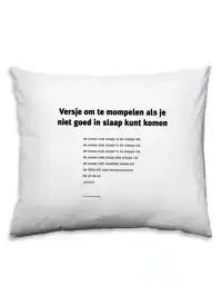 DICHTER JOKE VAN LEEUWEN SL32 KUSSENSLOOP