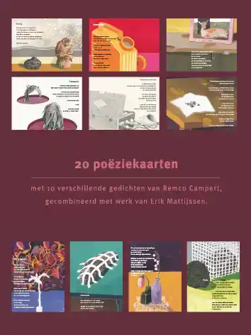 PLINT BEWAARBOX KAARTEN REMCO CAMPERT EN ERIK MATTIJSSEN