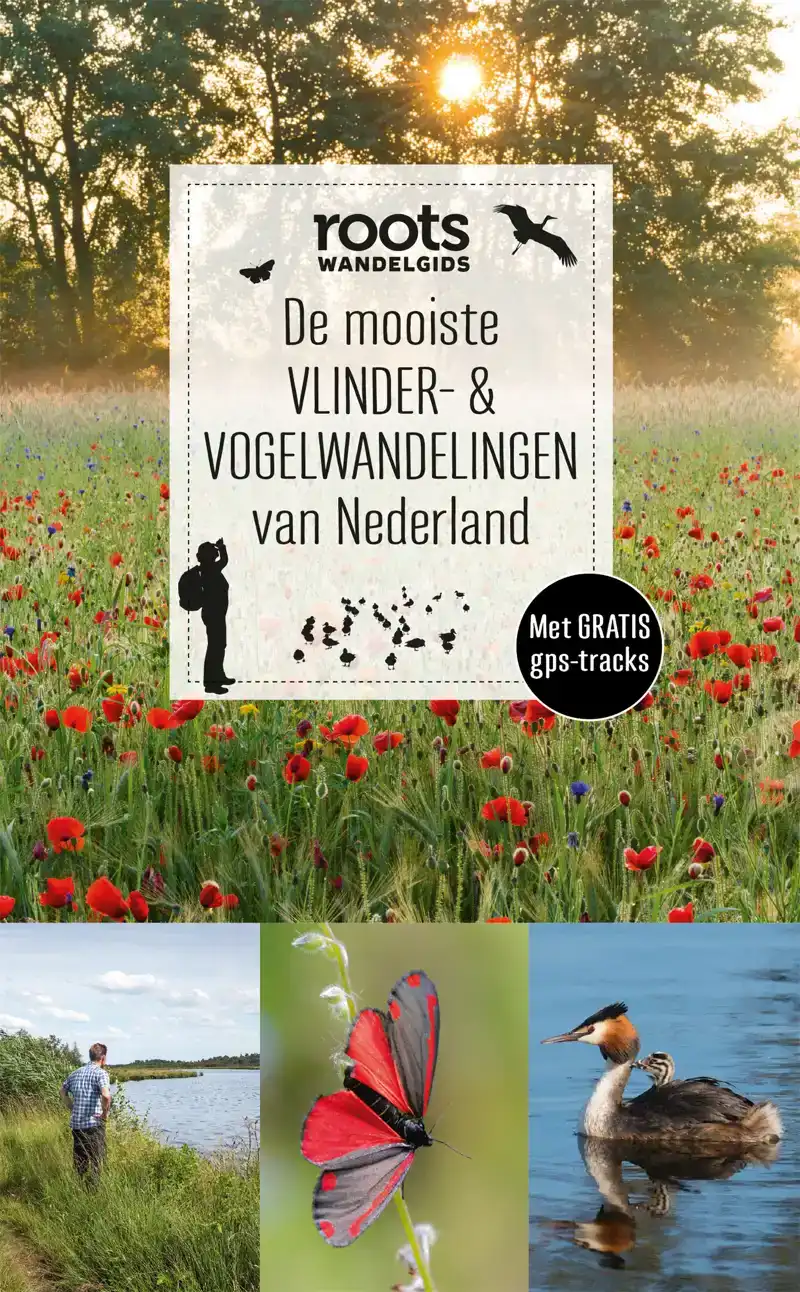 DE MOOISTE VLINDER- & VOGELWANDELINGEN VAN NEDERLAND