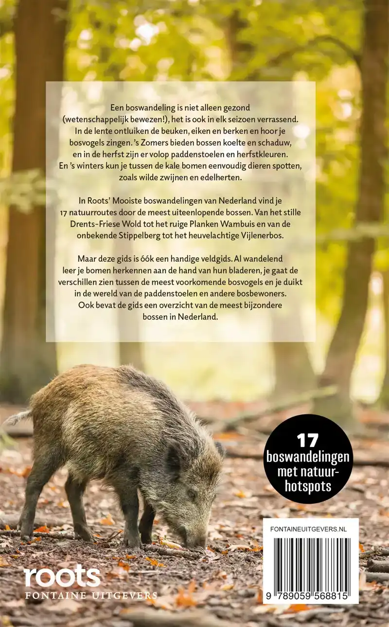 DE MOOISTE BOSWANDELINGEN VAN NEDERLAND