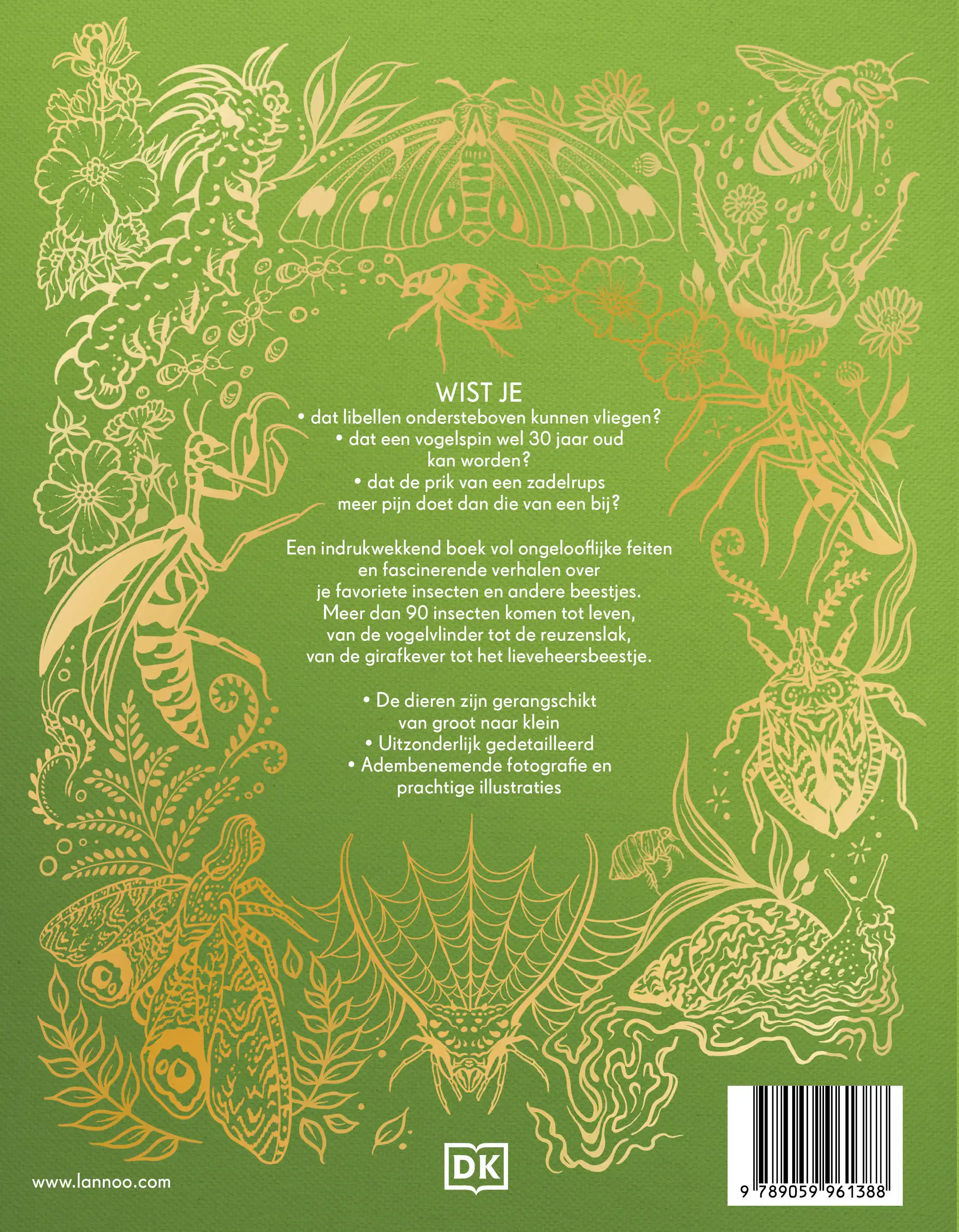 HET DIKKE BOEK VAN ALLE BIJZONDERE INSECTEN EN ANDERE BEESTJ