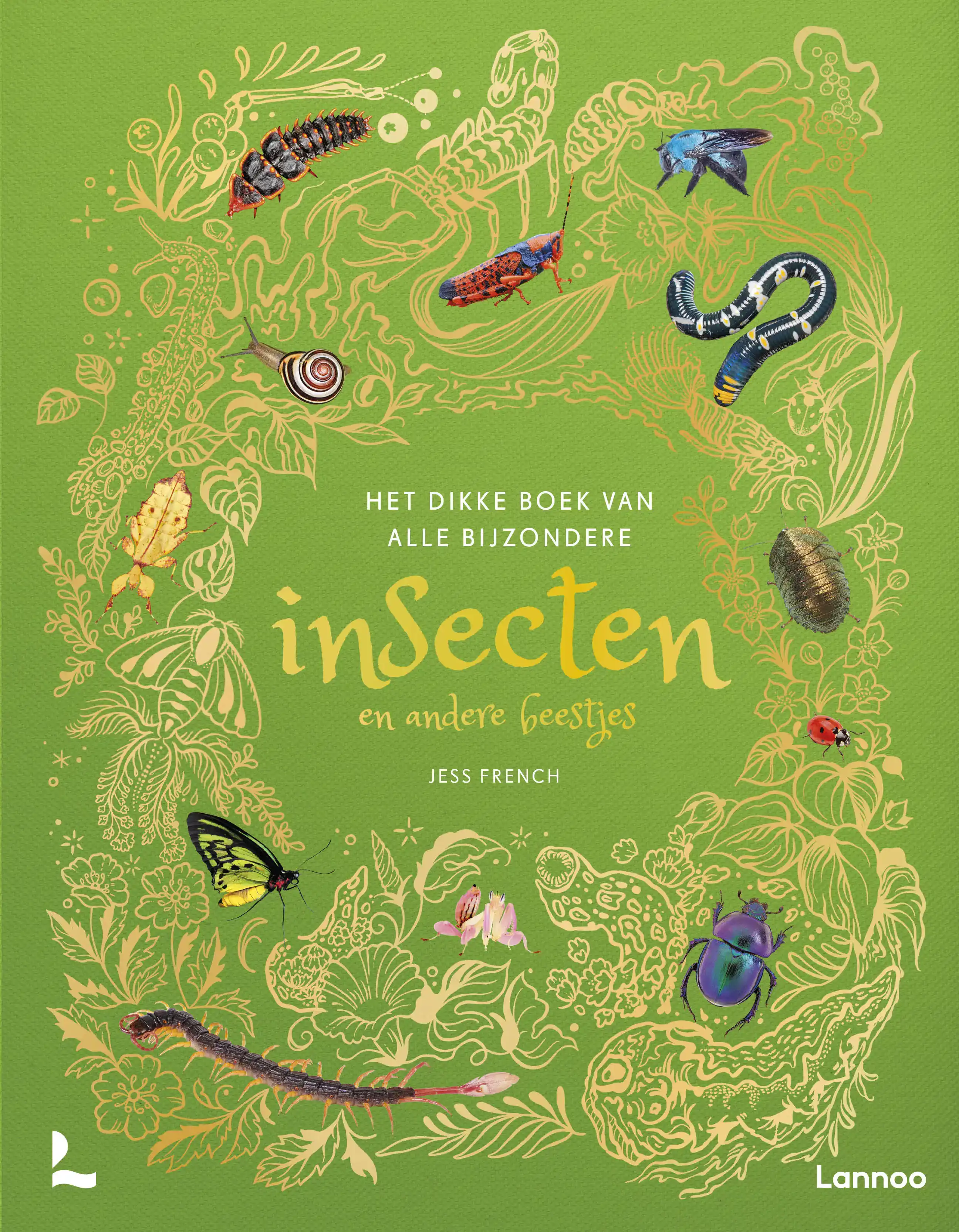 HET DIKKE BOEK VAN ALLE BIJZONDERE INSECTEN EN ANDERE BEESTJ