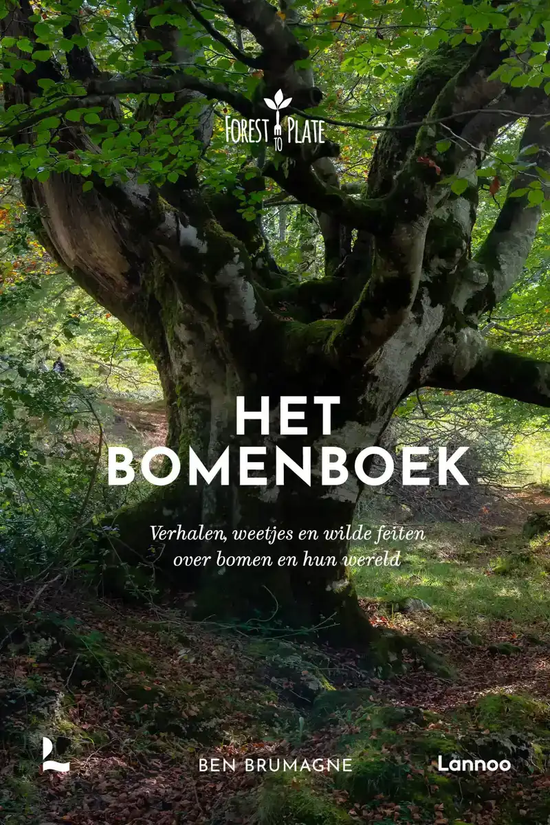 HET BOMENBOEK