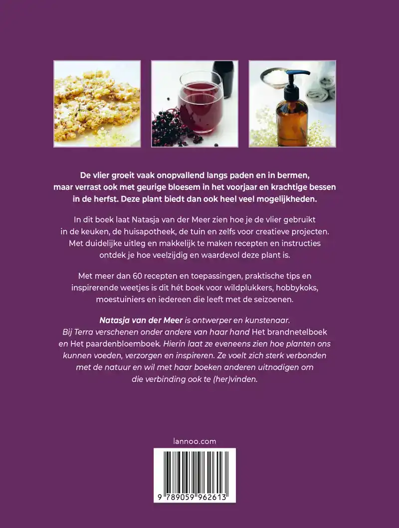HET VLIERBOEK