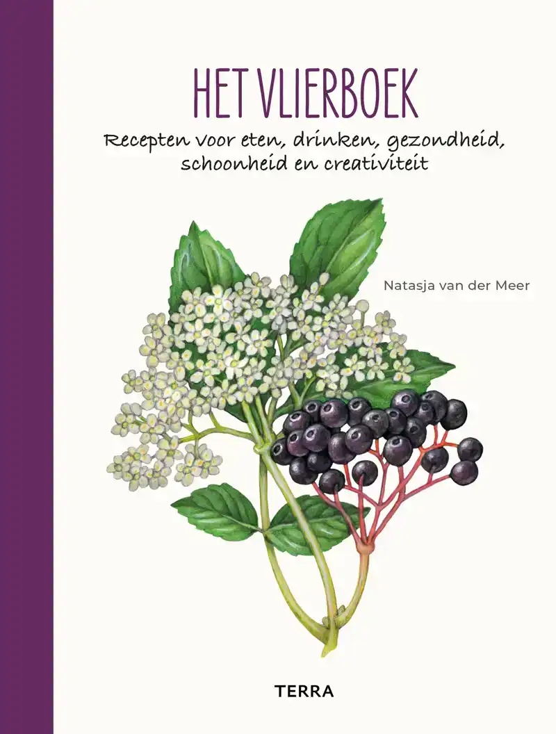 HET VLIERBOEK
