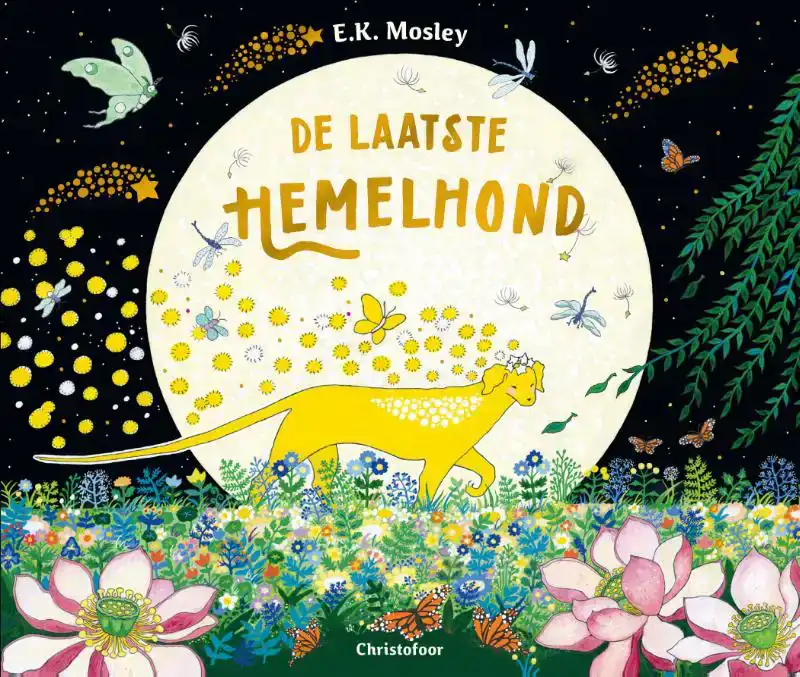 DE LAATSTE HEMELHOND