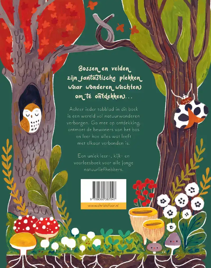 EEN WOUD VOL WONDEREN