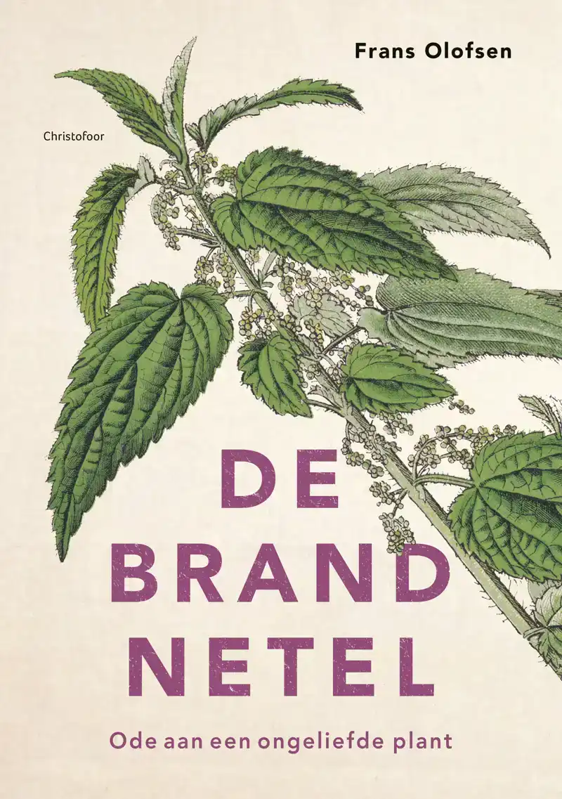 DE BRANDNETEL
