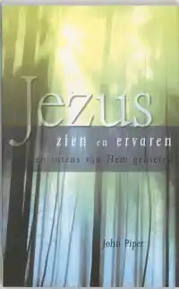 JEZUS ZIEN EN ERVAREN