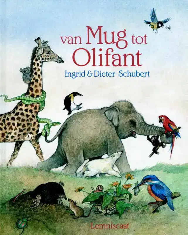 VAN MUG TOT OLIFANT