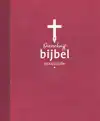 OVERSCHRIJFBIJBEL EVANGELIEN
