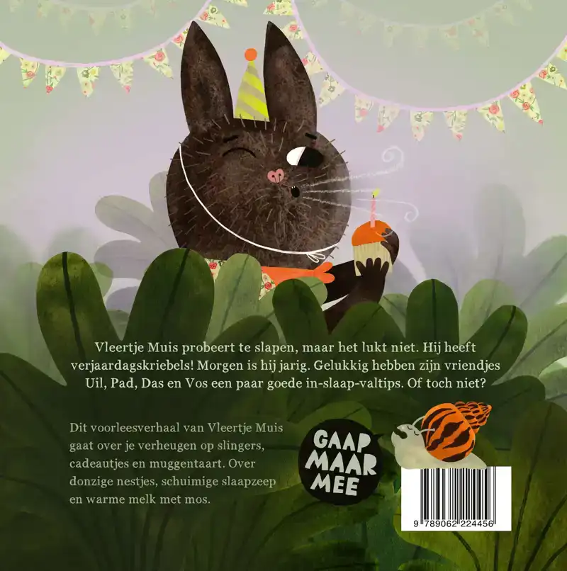 VLEERTJE MUIS EN HET GAAPCONCERT