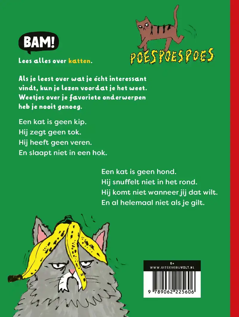 EEN KAT IS GEEN KIP