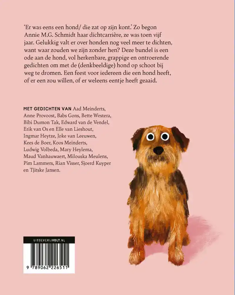 ER WAS EENS EEN HOND DIE ZAT OP Z'N KONT