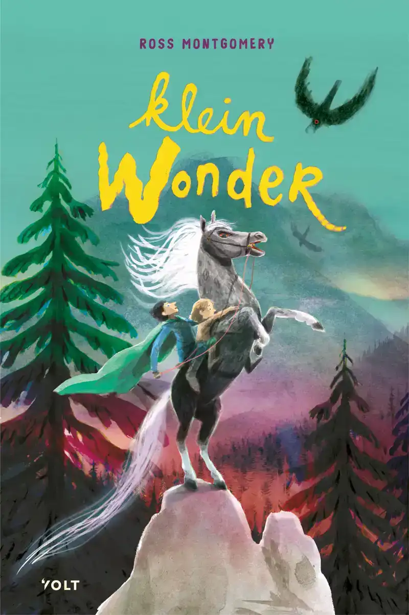 KLEIN WONDER