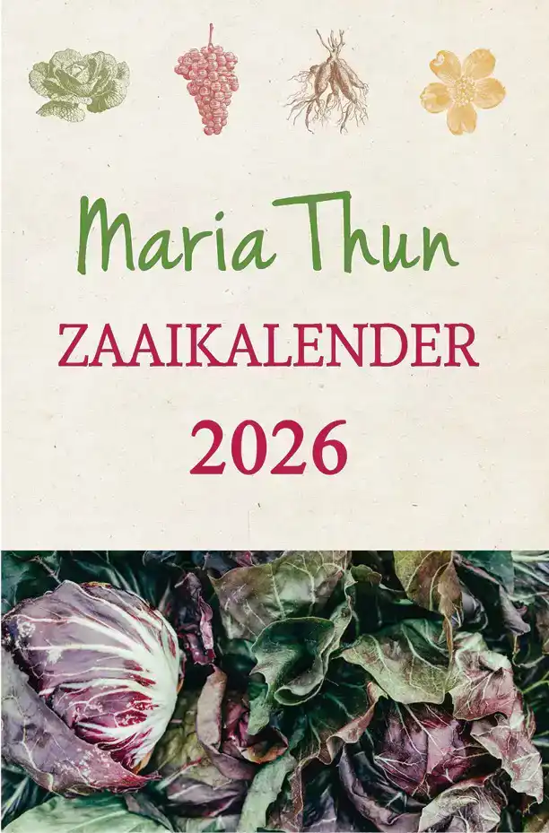 MARIA THUN ZAAIKALENDER 2026