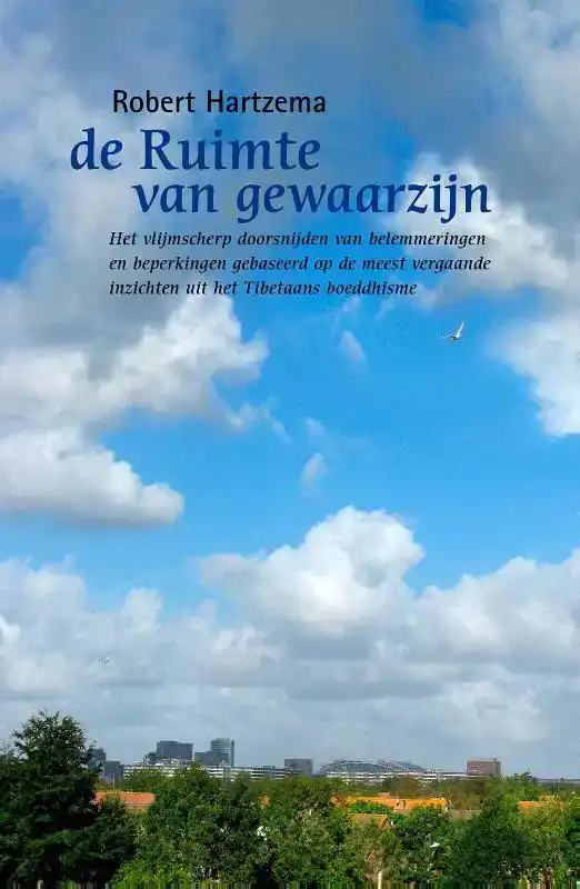 DE RUIMTE VAN GEWAARZIJN