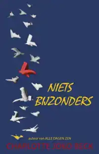 NIETS BIJZONDERS