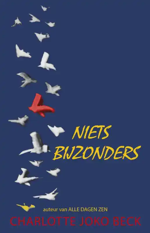 NIETS BIJZONDERS