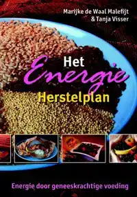 HET ENERGIE HERSTELPLAN