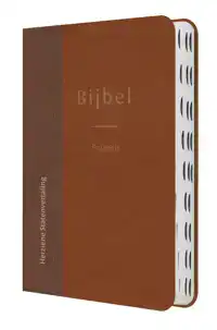 BIJBEL MET PSALMEN