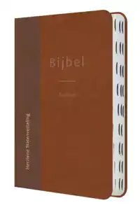 BIJBEL MET PSALMEN