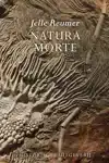 NATURA MORTE