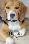 HOTCH DE BEAGLE