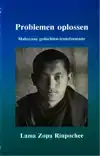 PROBLEMEN OPLOSSEN