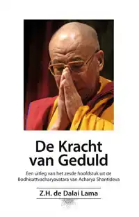 DE KRACHT VAN GEDULD