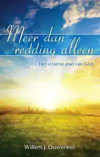 MEER DAN REDDING ALLEEN