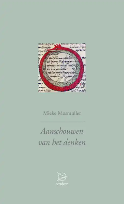 AANSCHOUWEN VAN HET DENKEN