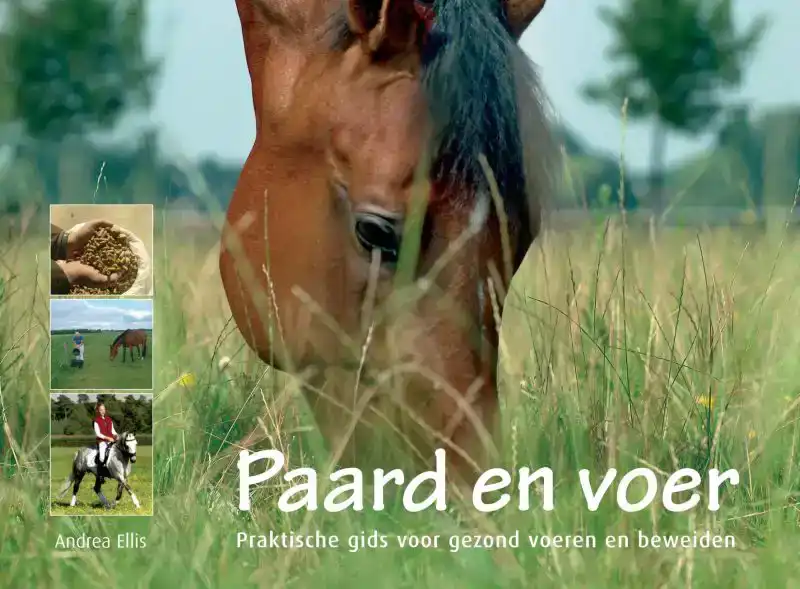 PAARD EN VOER