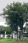 VOGELWATER