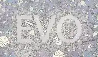 EVO FLIPBOEKJE