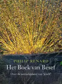 HET BOEK VAN BESEF