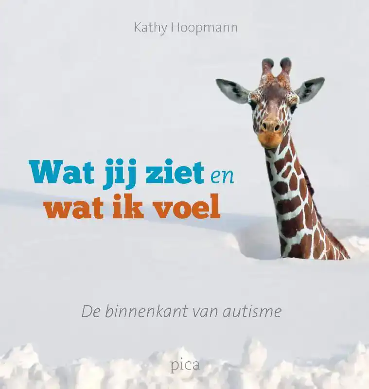 WAT JIJ ZIET EN WAT IK VOEL