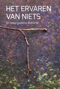 HET ERVAREN VAN NIETS