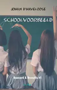 SCHOOLVOORBEELD