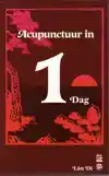 ACUPUNCTUUR IN EEN DAG