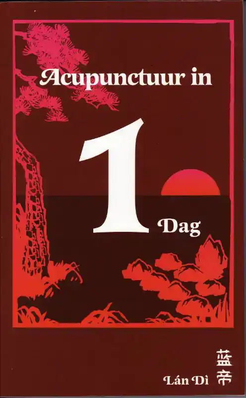 ACUPUNCTUUR IN EEN DAG